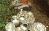 Stolen silver articles from Uppinnagady temple found hidden in plantation